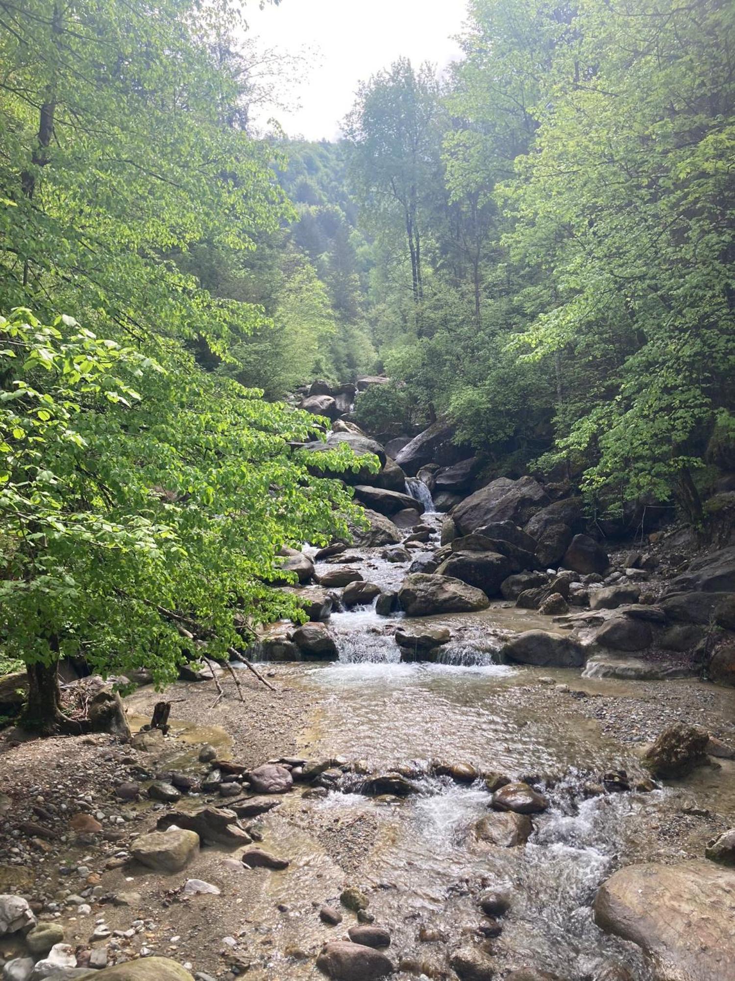 Ortighera Monolocale Relax Sulla Ciclabile Lenna 외부 사진