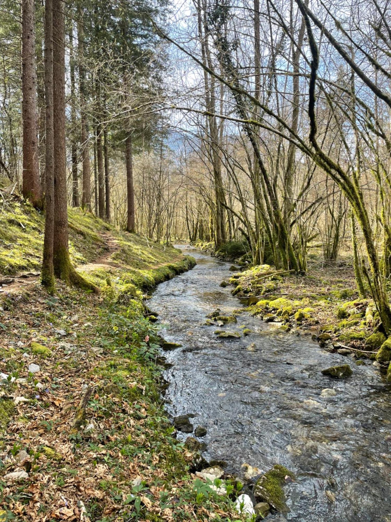 Ortighera Monolocale Relax Sulla Ciclabile Lenna 외부 사진